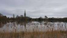 Photo 2 - The water meadows